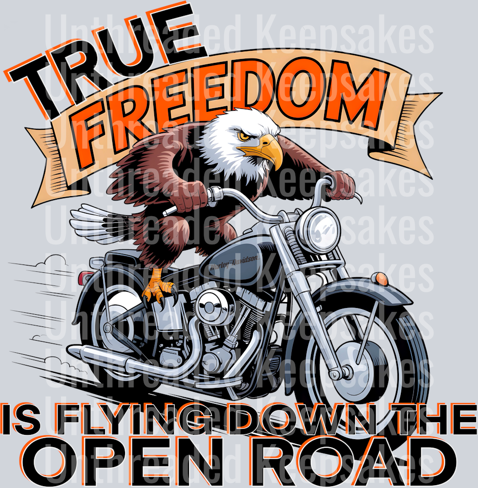 Is Flying Down The open Road DTF Transfer