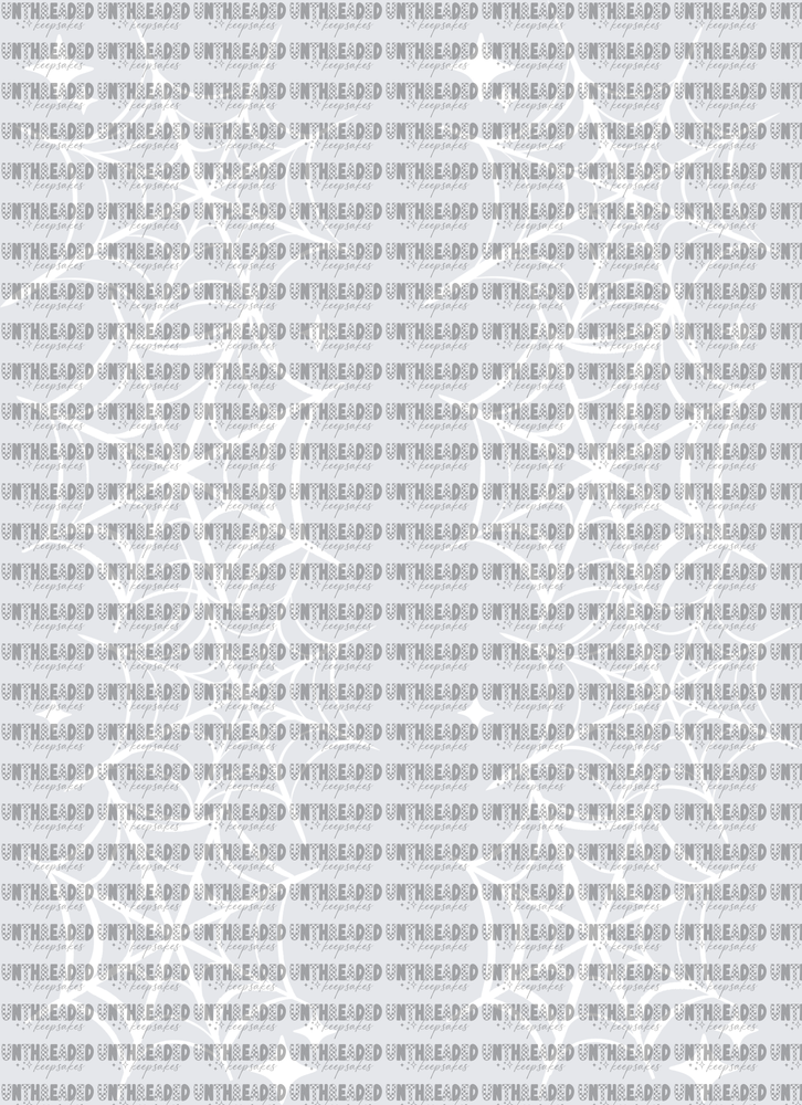 Spiderweb_Sleeve_White