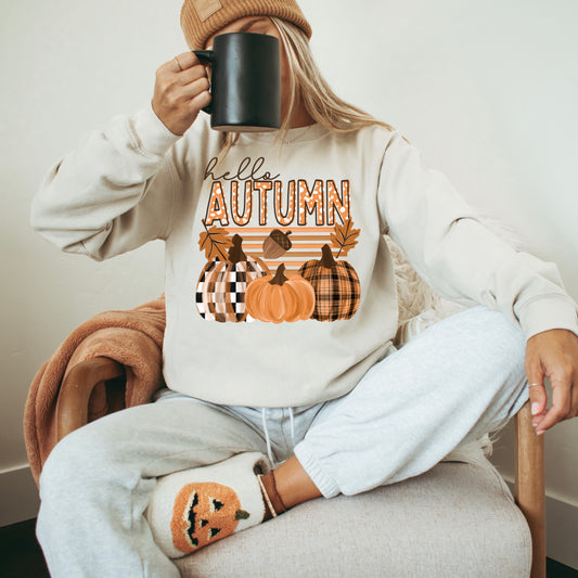 🍂 Hello Autumn Pumpkin Sweatshirt | Cozy Fall Graphic Crewneck | Plaid Pumpkin Autumn Sweater | Thanksgiving Pullover | Cute Fall Shirt 🎃