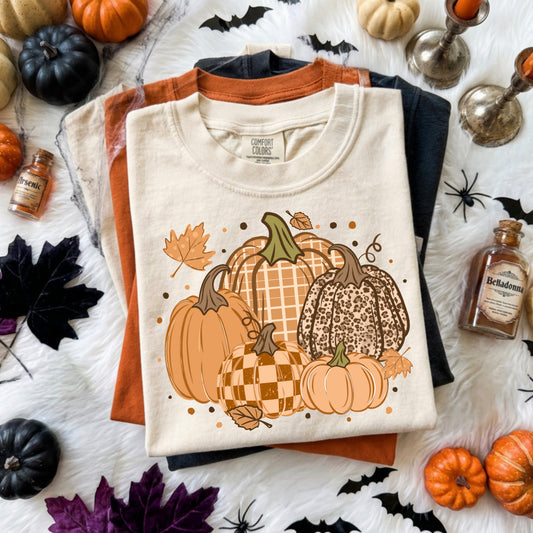 Cozy Fall Pumpkins Graphic T-Shirt