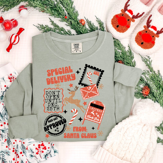 🎄📬 Special Delivery From Santa Christmas Sweatshirt 🎁✨