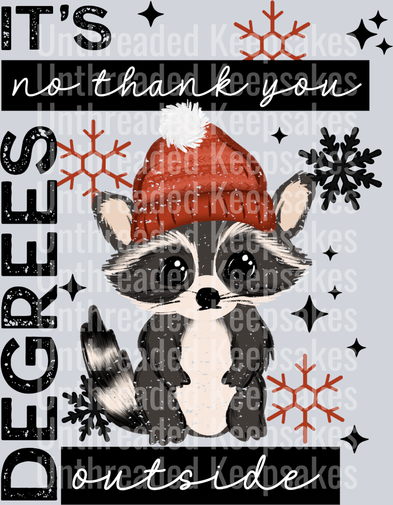 no thank you raccoonDTF Transfer