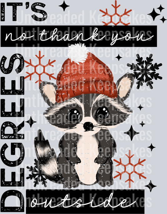 no thank you raccoonDTF Transfer