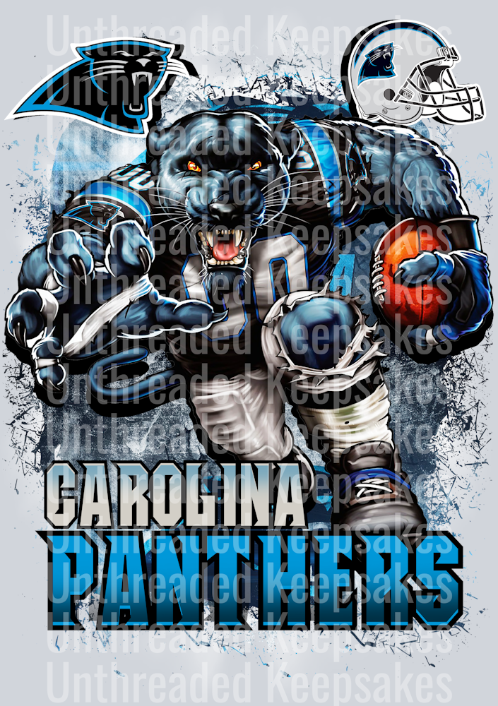 Panthers DTF Transfer