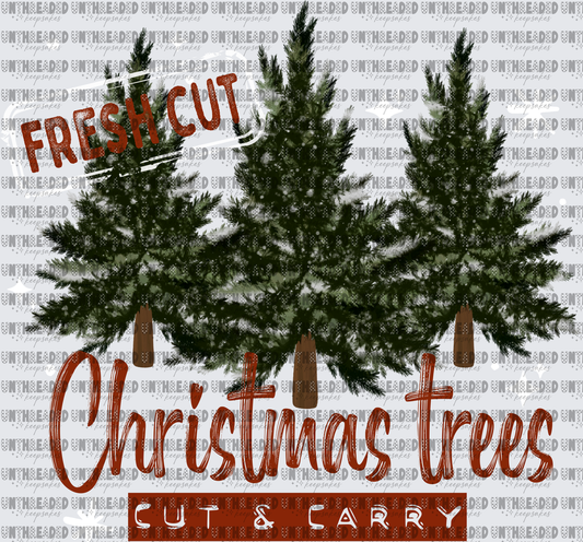 Fresh Cut Christmas Trees Cut & Carry Snow Pine Design