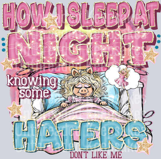 how i sleep at night knowing some of my haters dont like me DTF Transfer