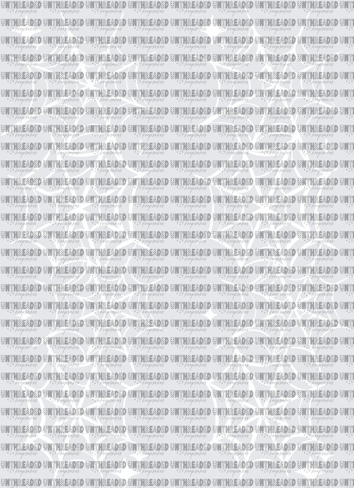 Spiderweb_Sleeve_White