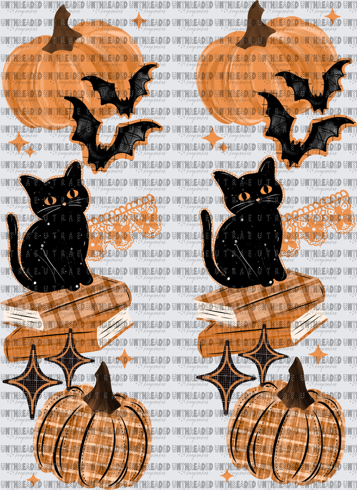 Black_Cat_Books_Sleeve