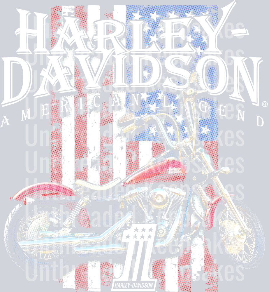 HD Bike Halftone DTF Transfer Requires Dark Garment